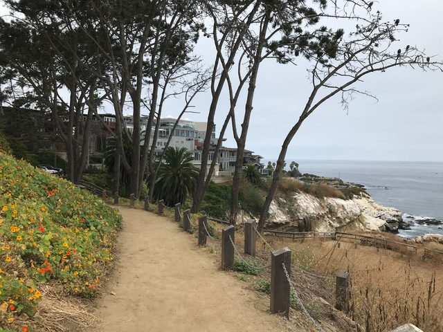 The Coast Walk trail above the ocean in La Jolla