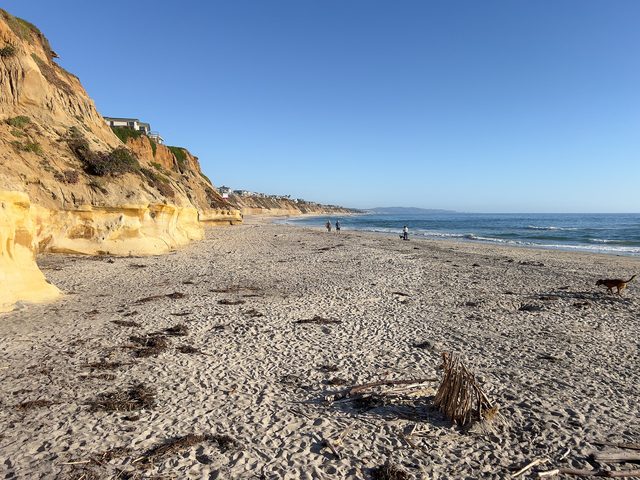 Sandstone bluffs above the beach in north Solana Beach